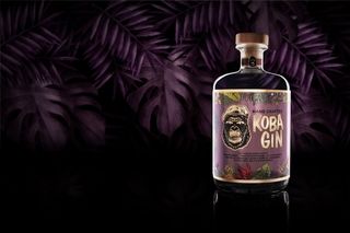 port elizabeth photographer professional comemrcial product studio photography hlb koba gin